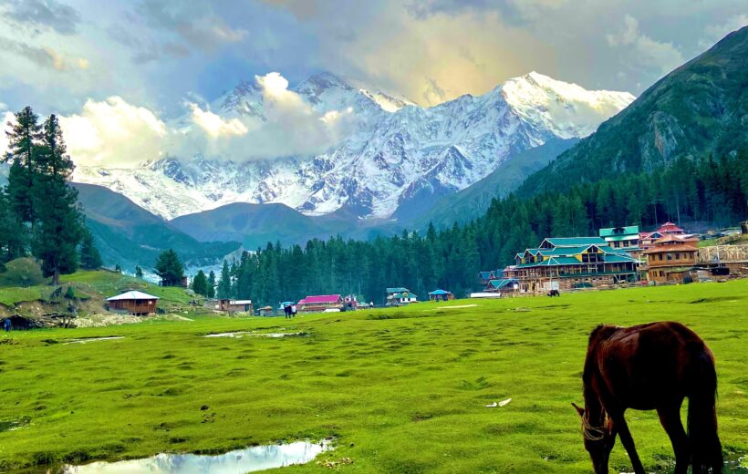 Fairy Meadows